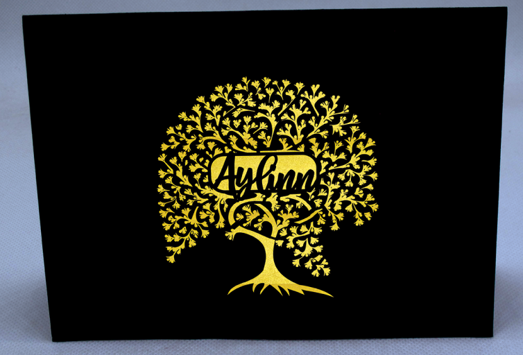 Aylinn-cover